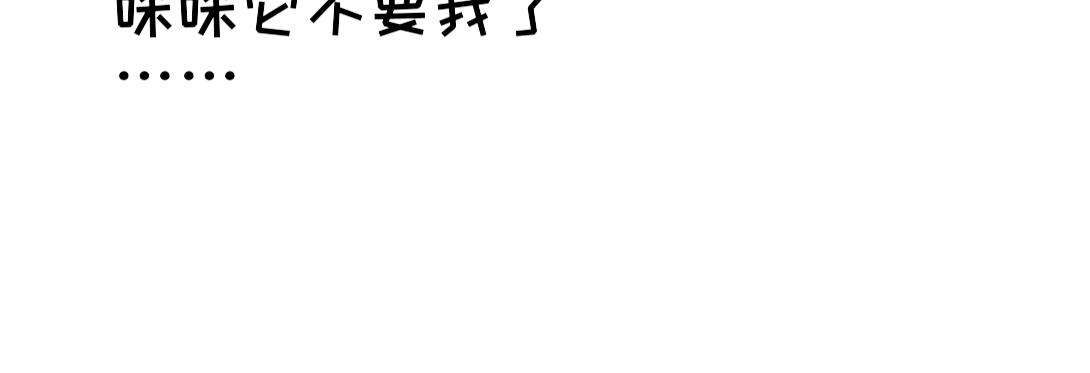 臥貓爲枕 - 奶貓 - 7