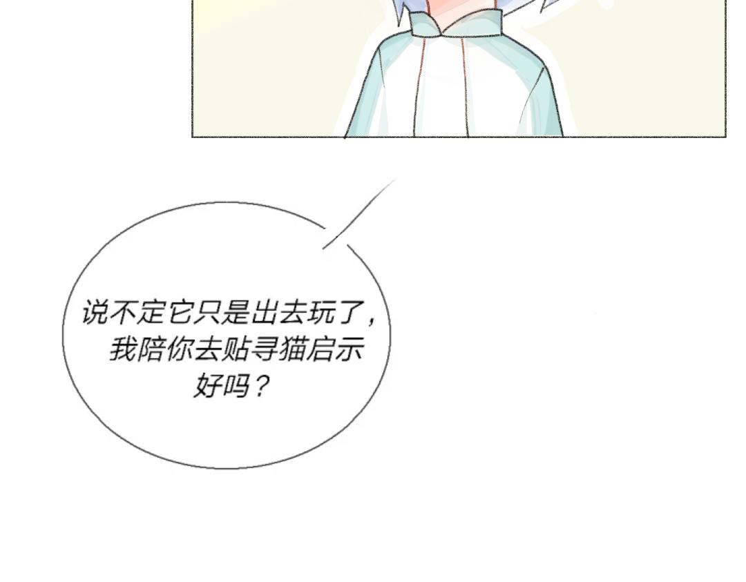 臥貓爲枕 - 奶貓 - 2