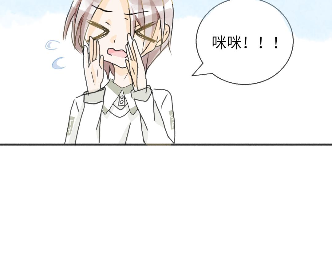 臥貓爲枕 - 奶貓 - 2