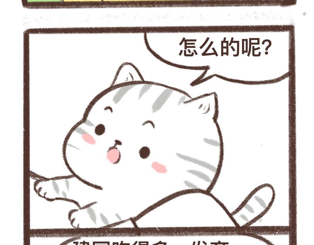 上进的小猫咪-第17话