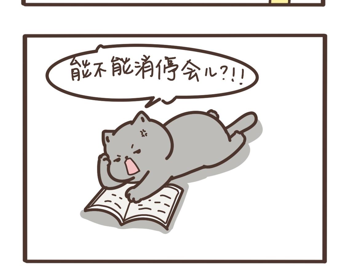 上进的小猫咪-第17话