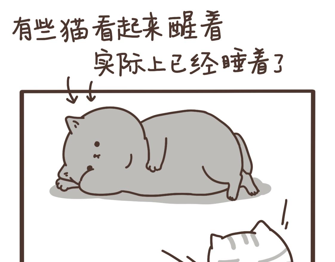 对力量的渴望-第19话