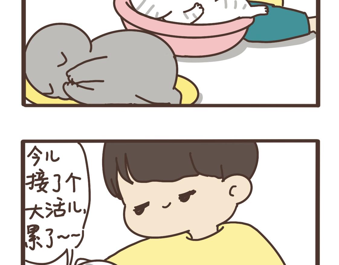 接大活儿-第27话