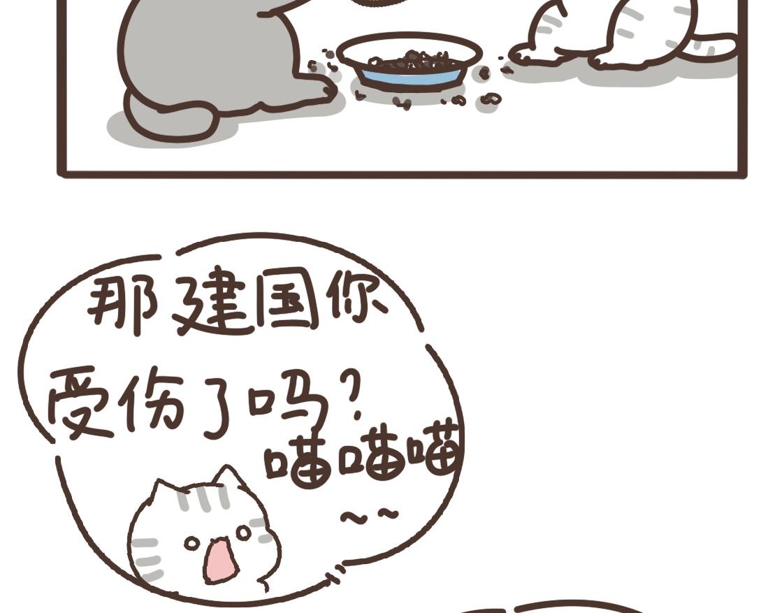 追求完美-第31话