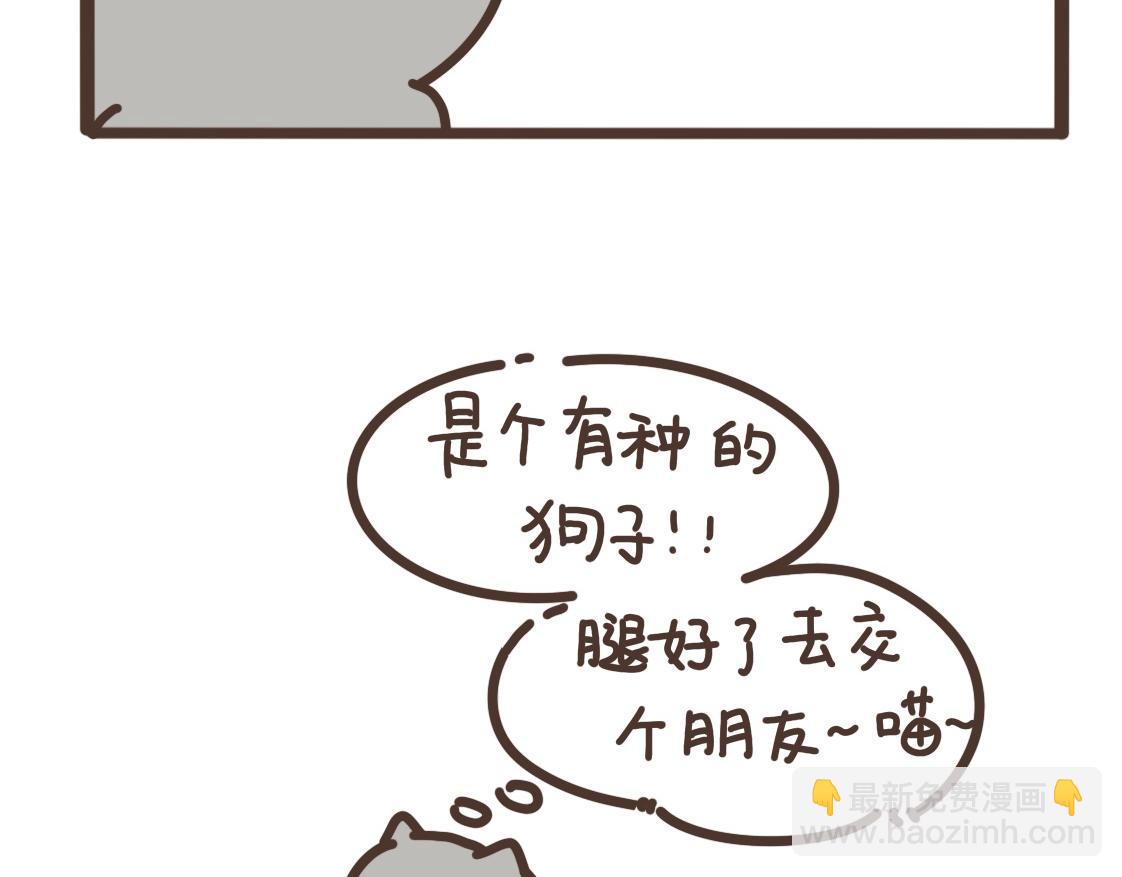 追求完美-第31话