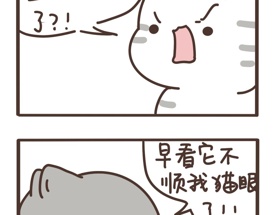 追求完美-第31话