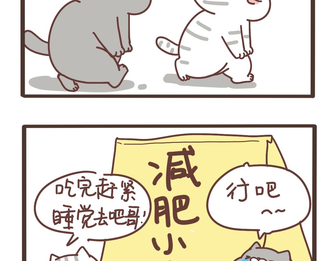 吃完睡吧-第33话