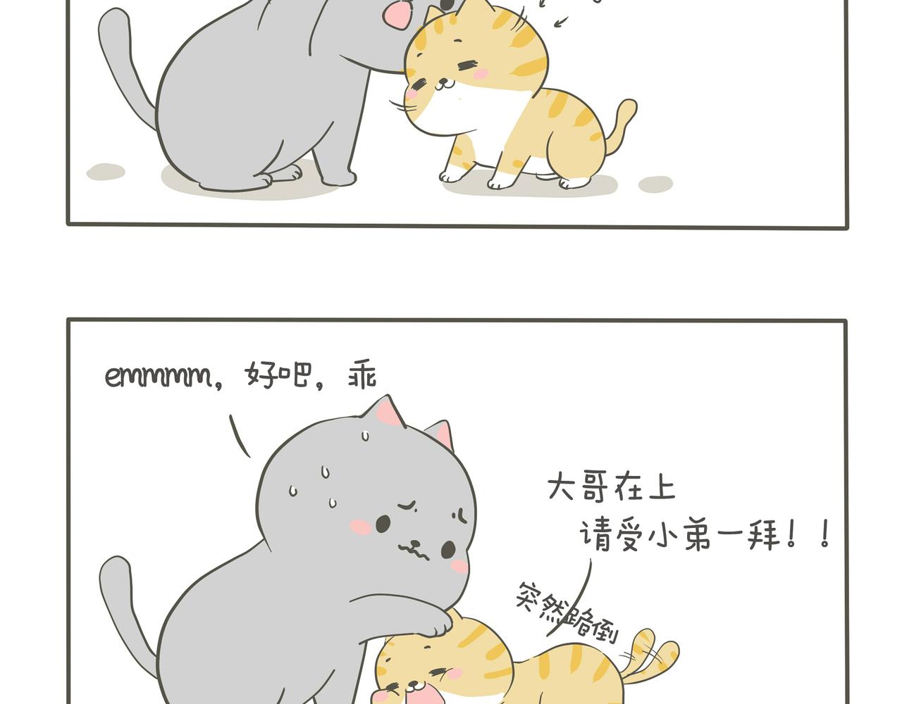 狭路相逢-第5话