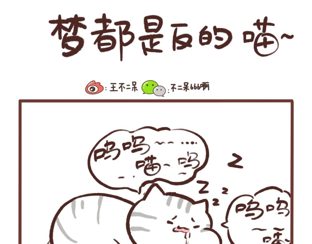 梦是反的-第43话