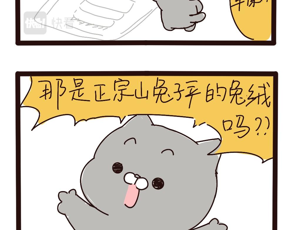 暖暖的山羊绒-第63话