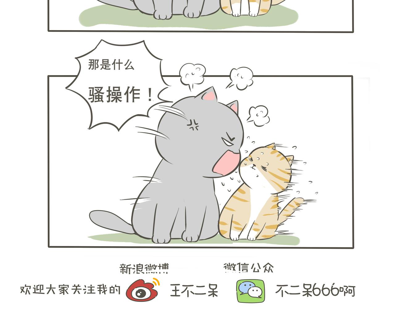 来串门的猫-第9话