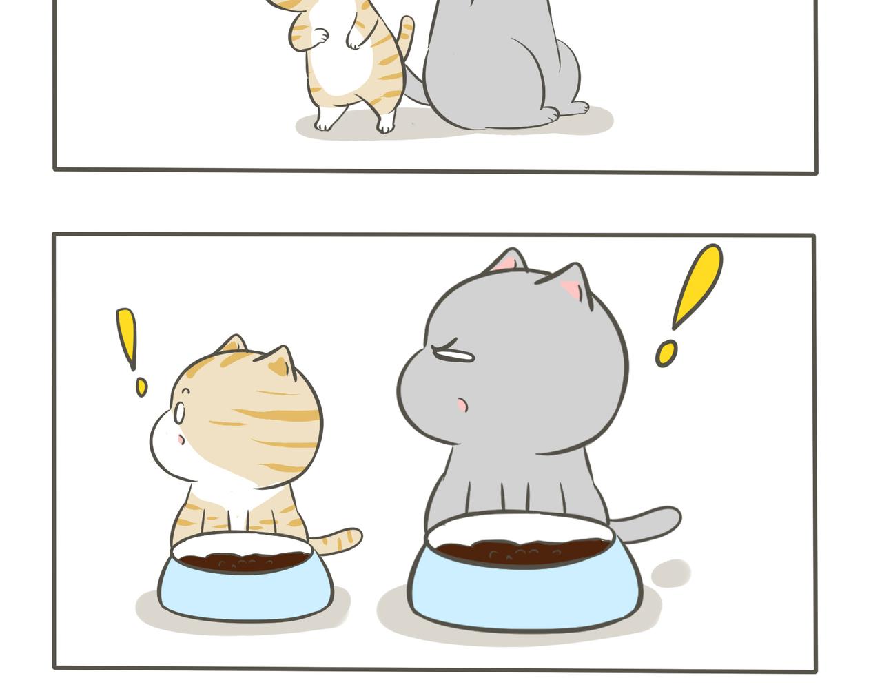 来串门的猫-第9话