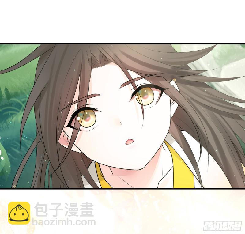 浪哥参战(1/2)-第65话