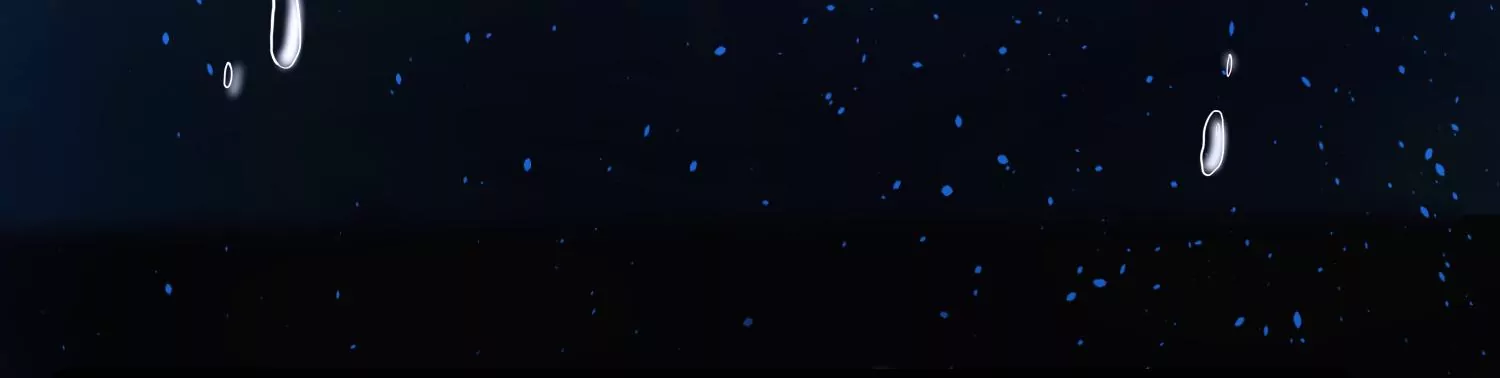 46话 除妖师云君(1/3)-第47话