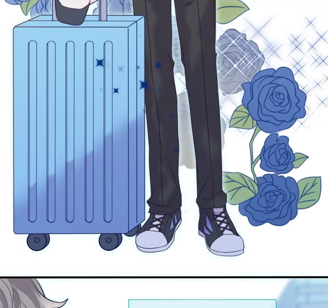 第15话 天才表弟归来-第17话