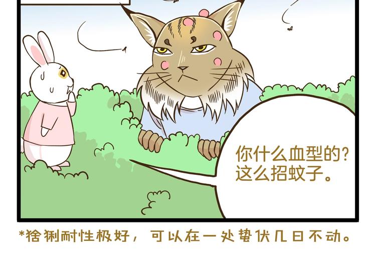 第101话 中二之光-第101话