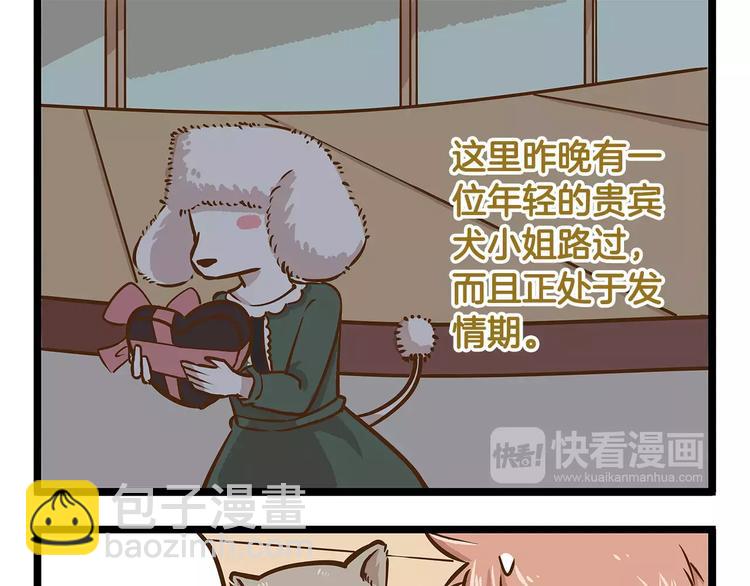 第15话 无厘头的大侦探！-第15话