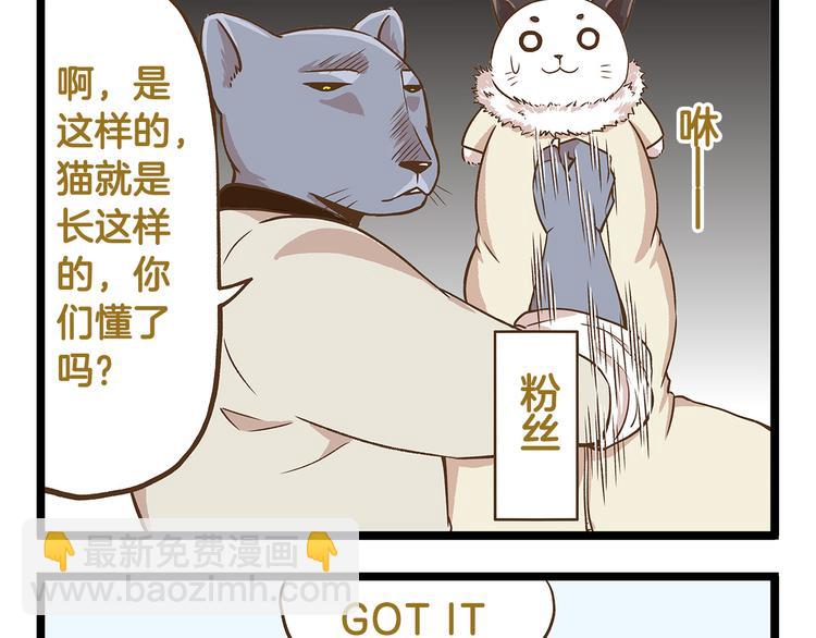 第31话 5个小时的接力赛-第31话