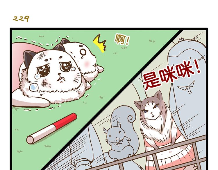 第33话 阴差阳错！？-第33话