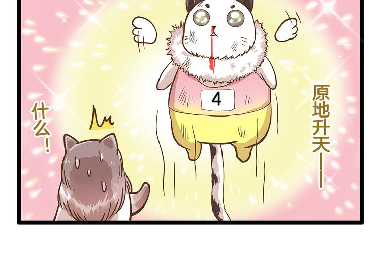 第33话 阴差阳错！？-第33话