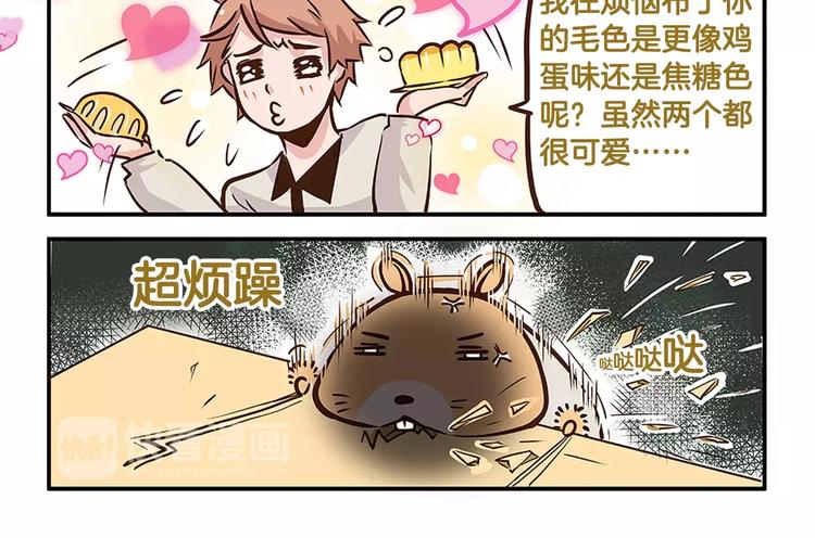 第5话 我才不卖萌呢！-第5话