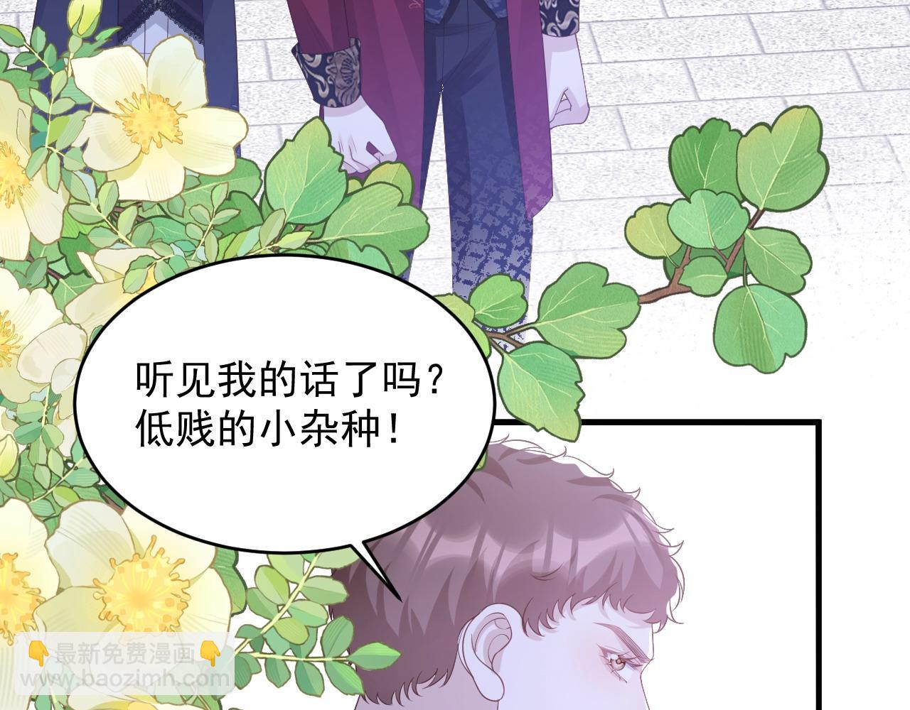 037 生日快乐(1/2)-第37话