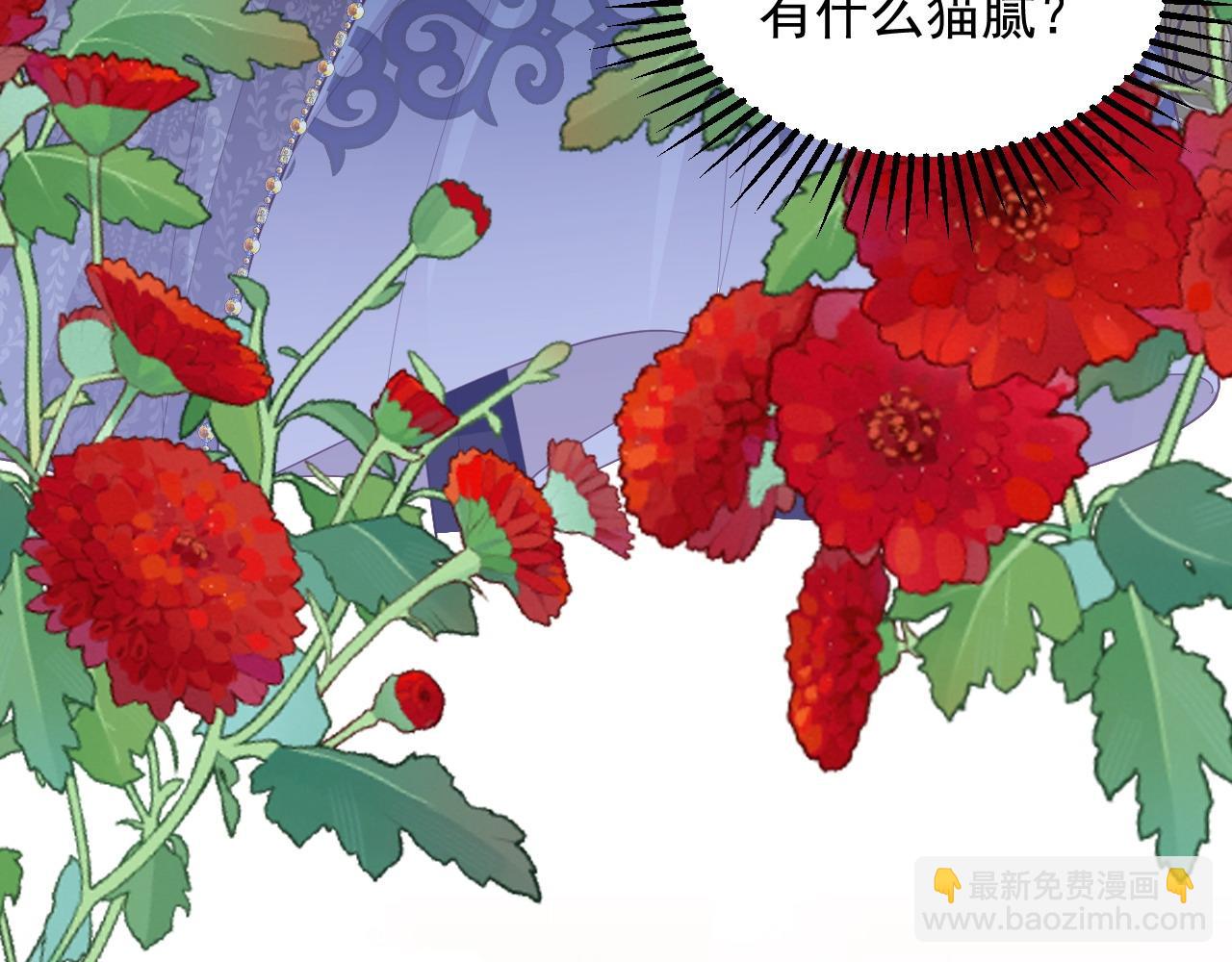 037 生日快乐(1/2)-第37话