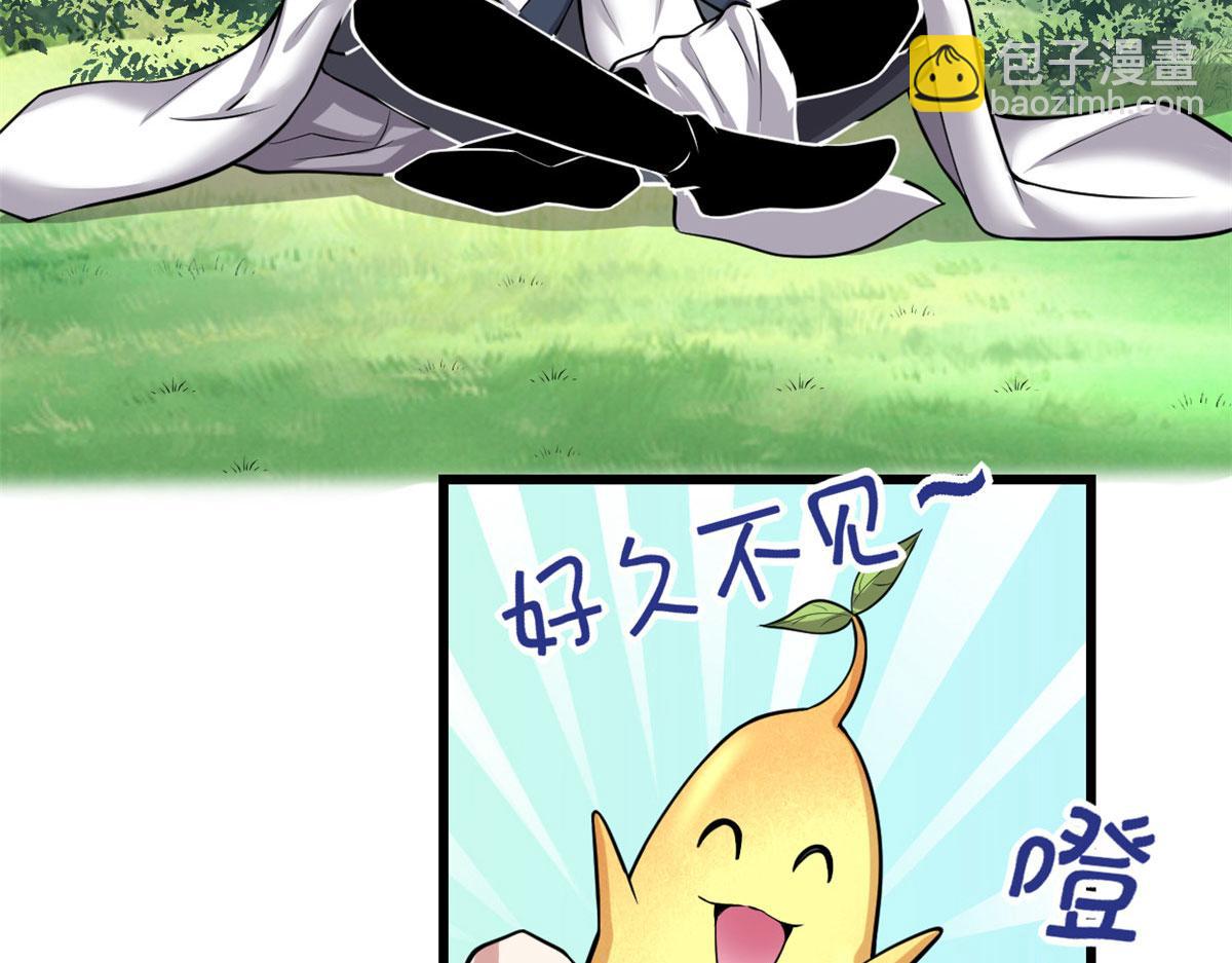 我修的可能是假仙 - 231 化神渡劫(2/2) - 4