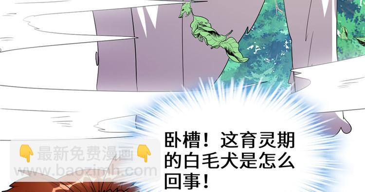 我修的可能是假仙 - 第27話 人狗俠侶(1/4) - 6