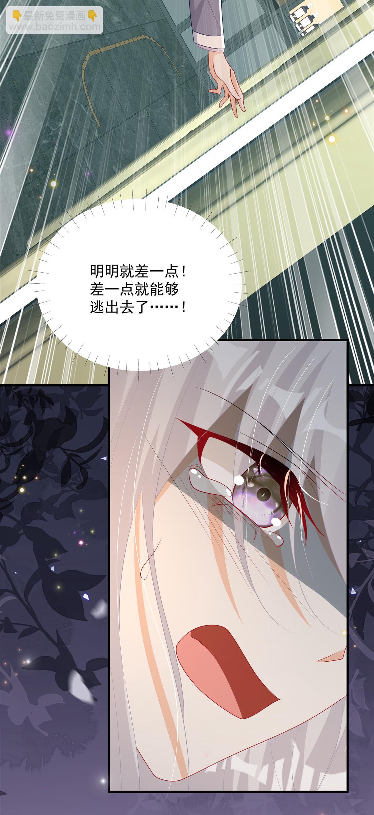 第12话 SOS！妈咪遇险了！-第13话