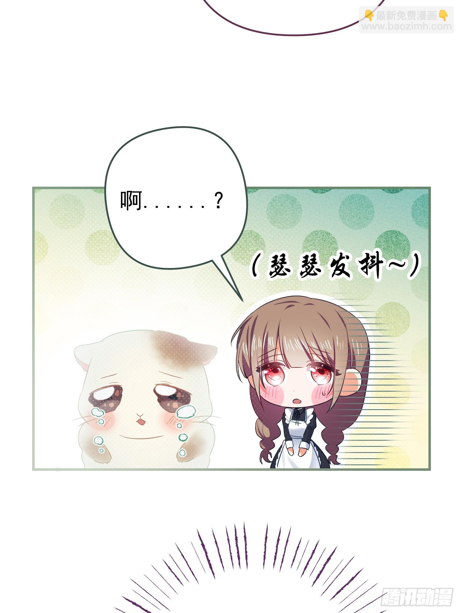 第3话(1/2)-第3话