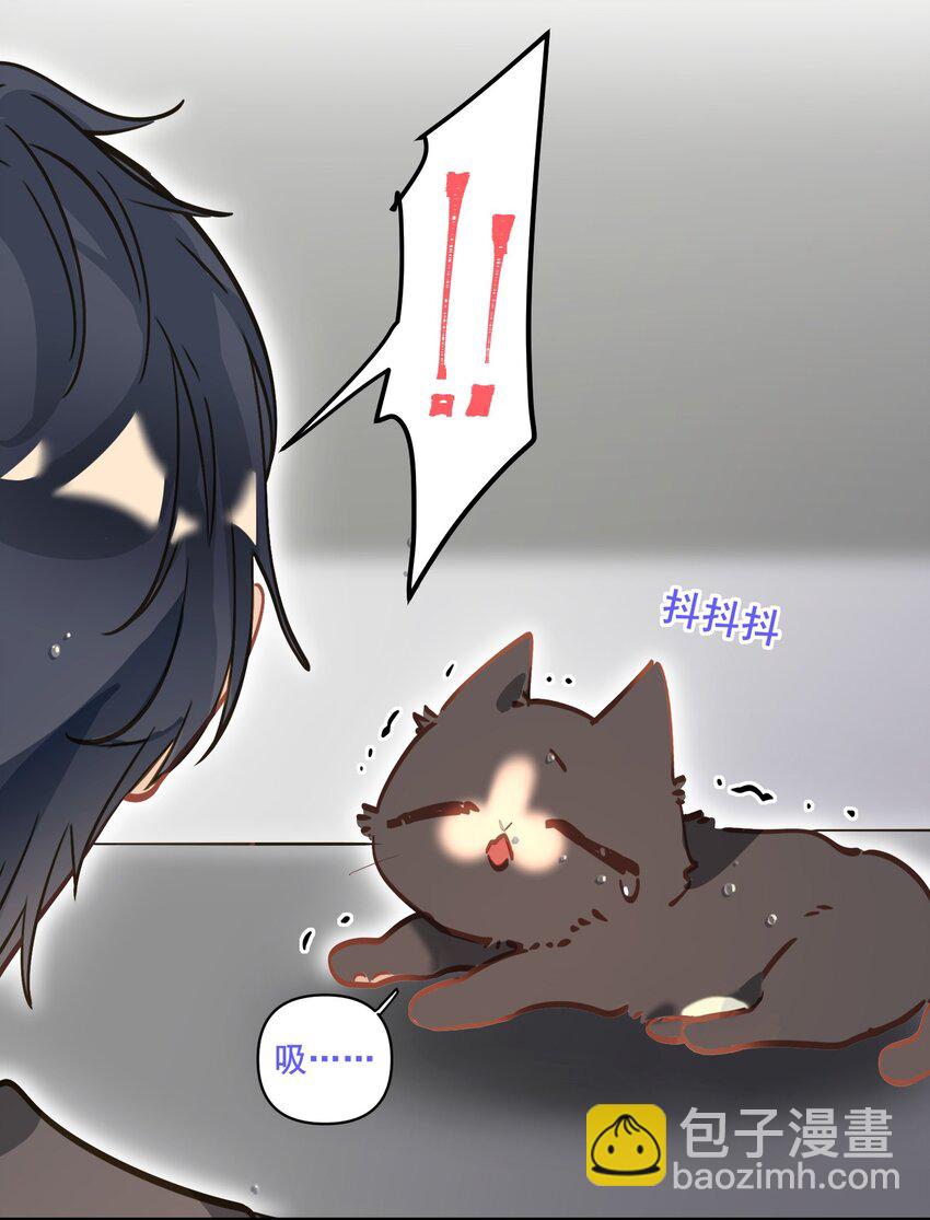 004 捡到猫了！-第5话