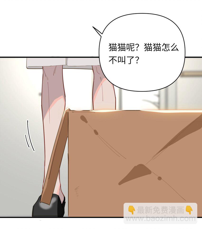 004 捡到猫了！-第5话