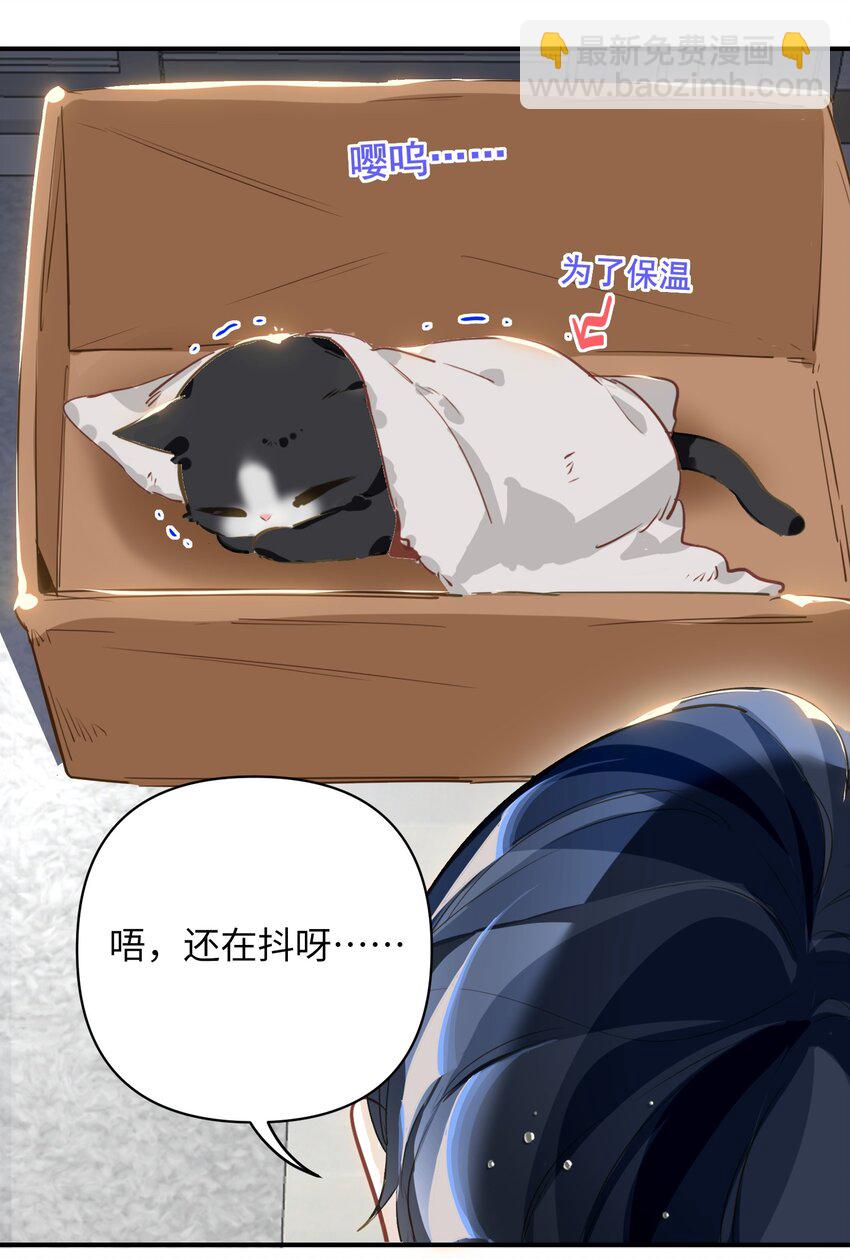 004 捡到猫了！-第5话