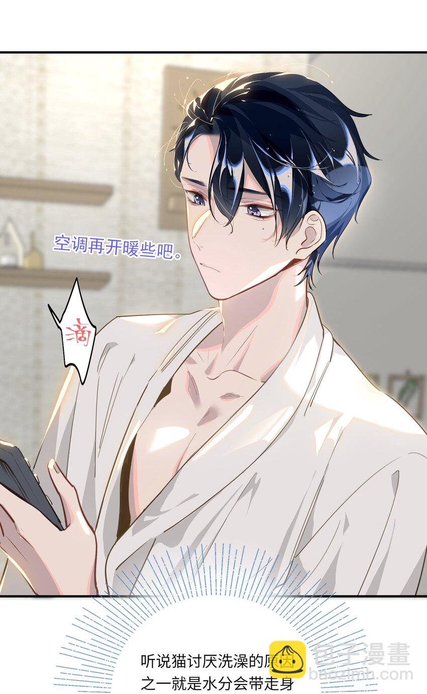 004 捡到猫了！-第5话