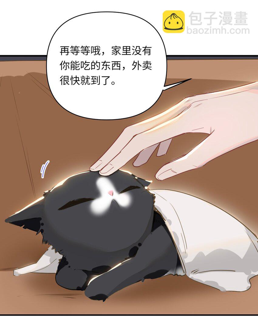 004 捡到猫了！-第5话