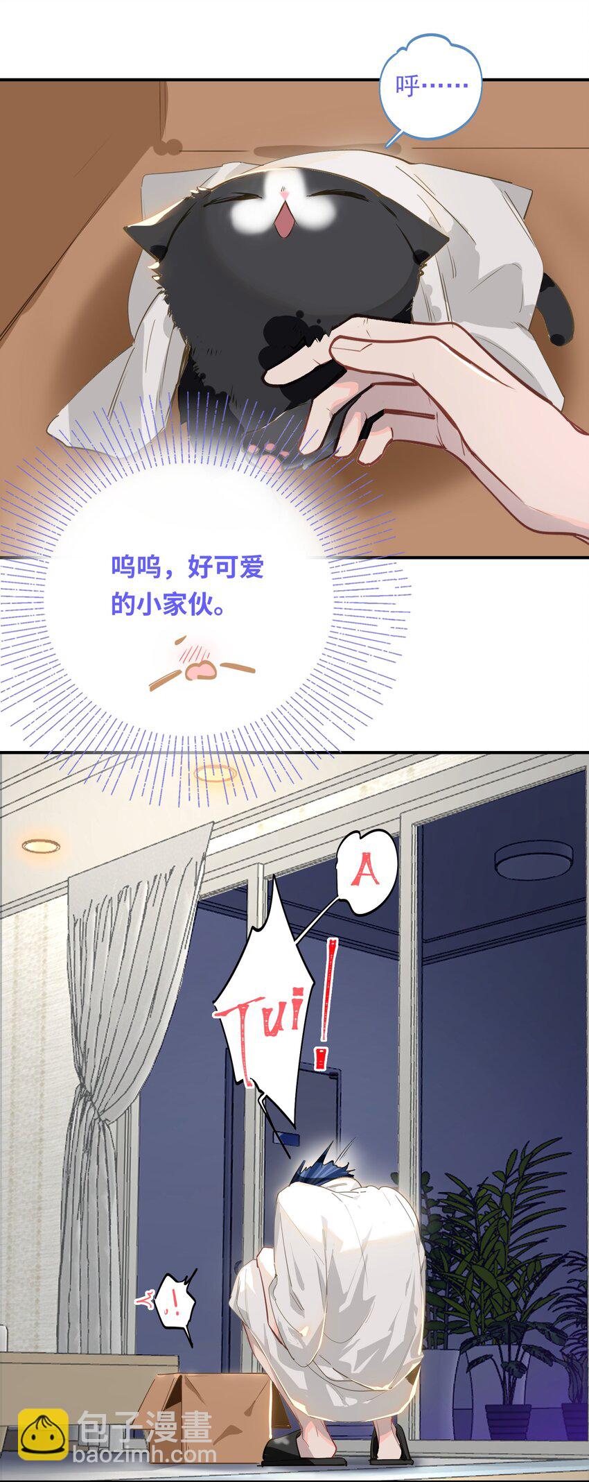 004 捡到猫了！-第5话