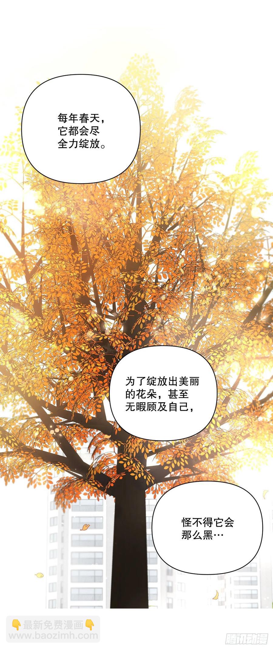 65.妈妈的婚礼(1/2)-第67话