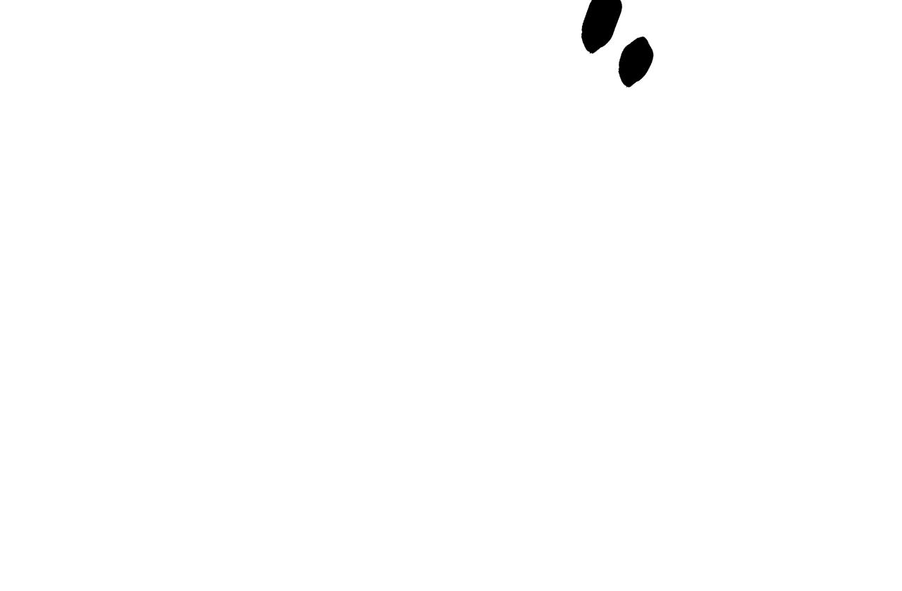 我有一隻三星龍 - 第110話 失蹤之人(3/4) - 4