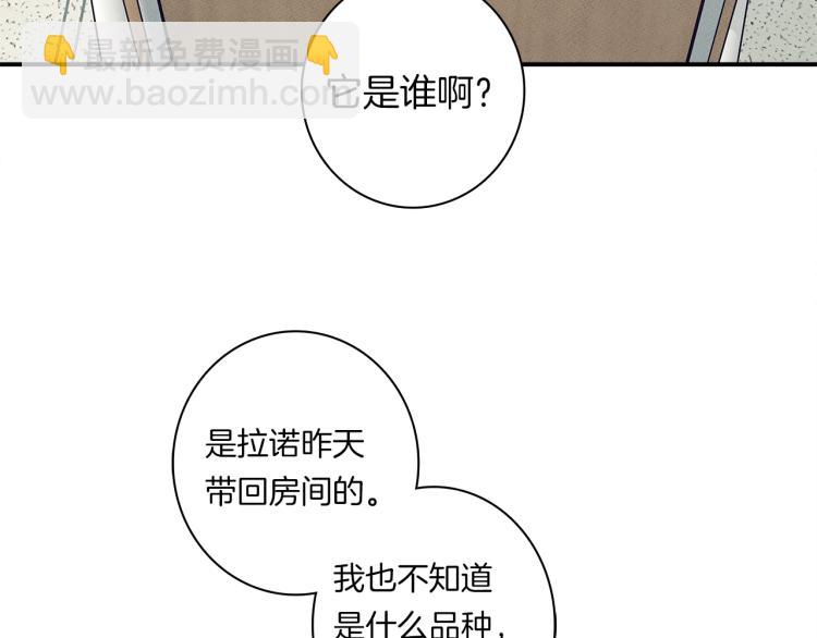 我有一隻三星龍 - 第66話 變種龍(1/3) - 8