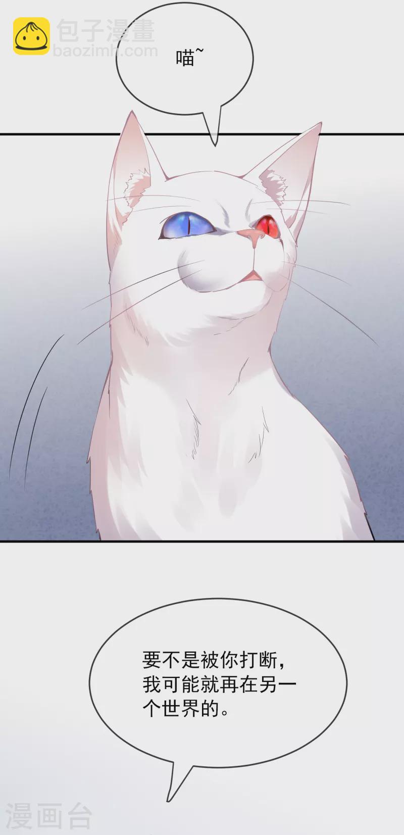 第46话 打造顶级冒险乐园-第47话