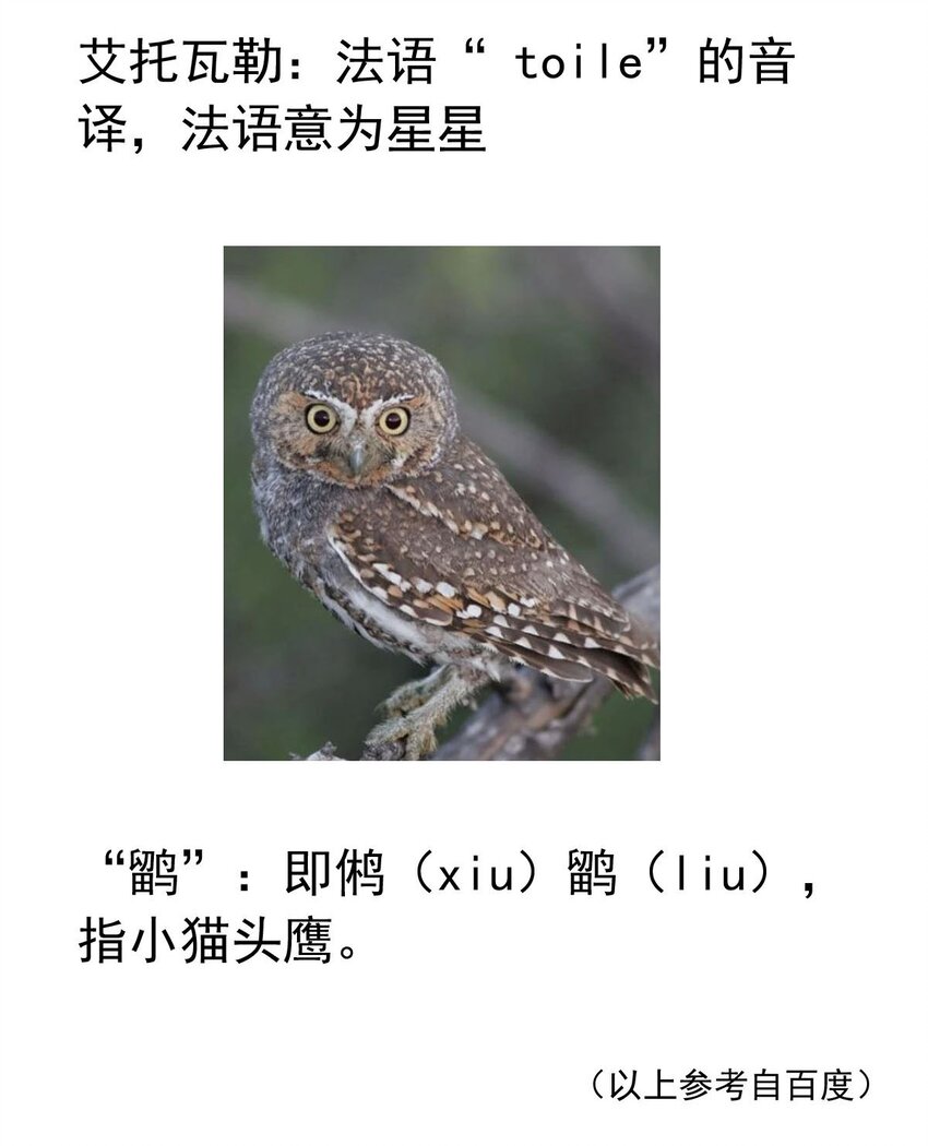 109 燃尽（一）-第109话