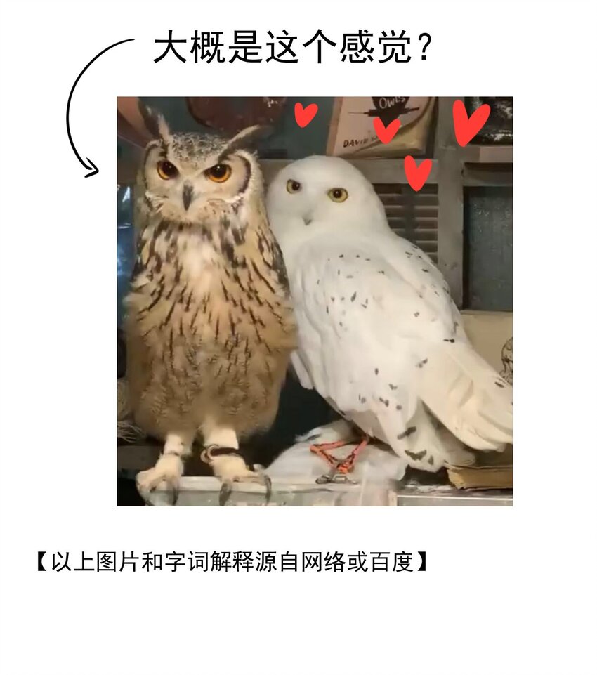 13 夜的角落（三）-第13话