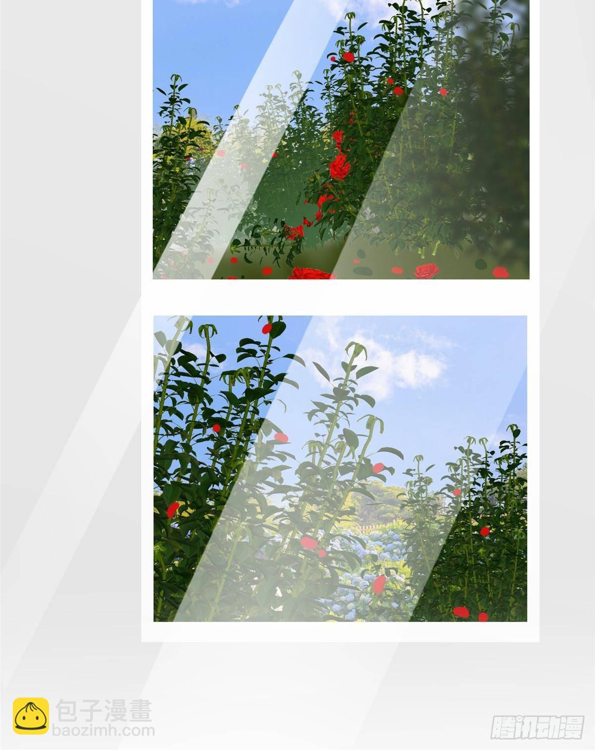 209 感谢婚配所-第209话