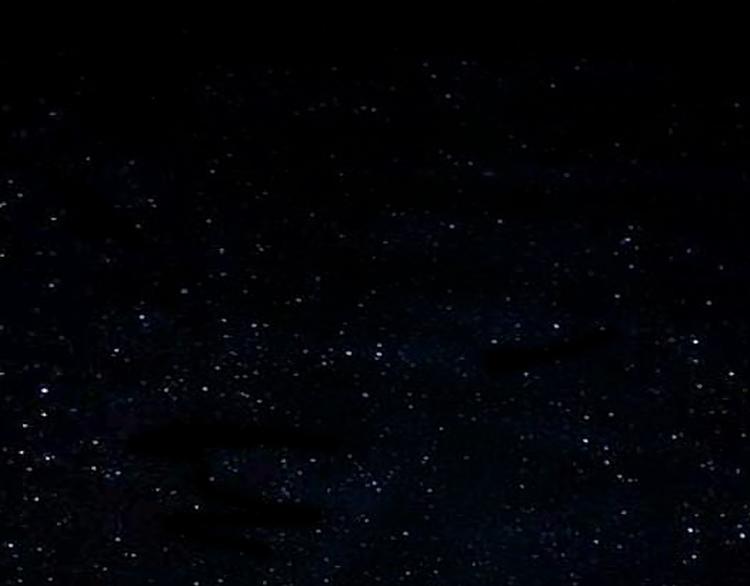 序章  小奶狗和女总裁(1/2)-第1话