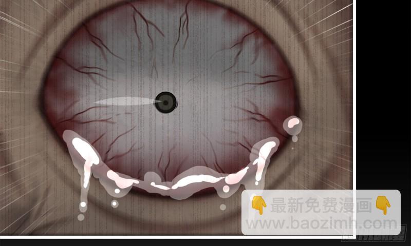 我在末世搬金磚 - 148- 負子蟾2(3/3) - 2