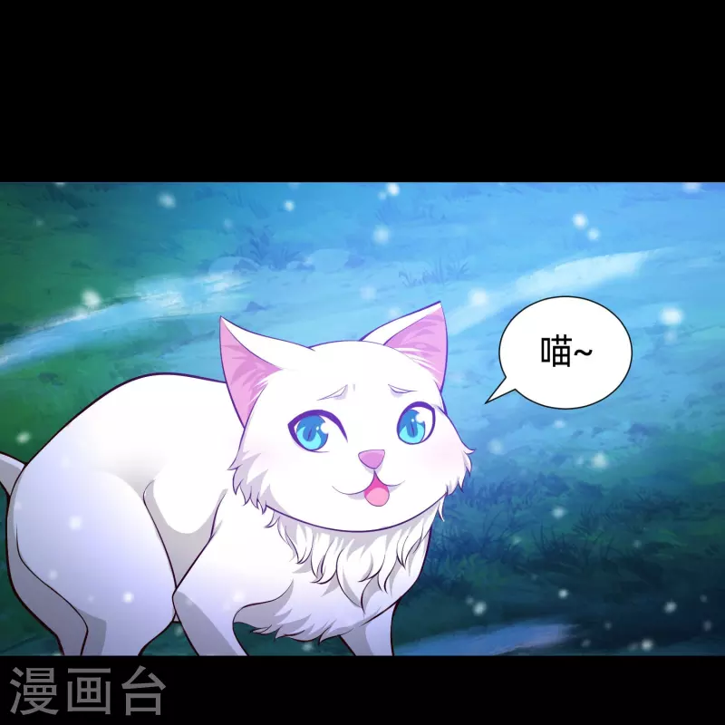 我在血族当团宠 - 第77话 这是谁家的小猫咪！(1/2) - 8