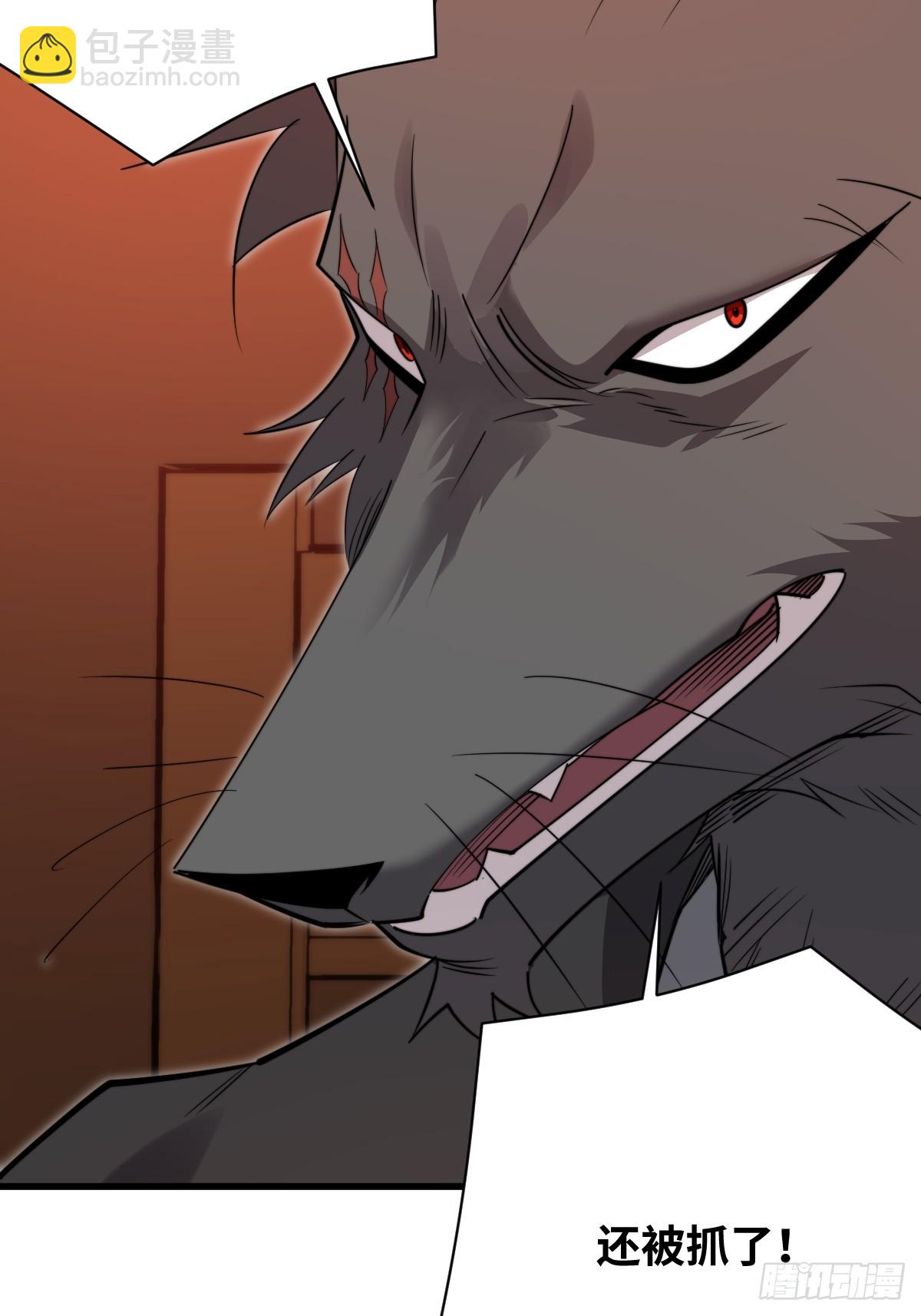 39 拿回属于青丘的荣耀！(1/2)-第39话