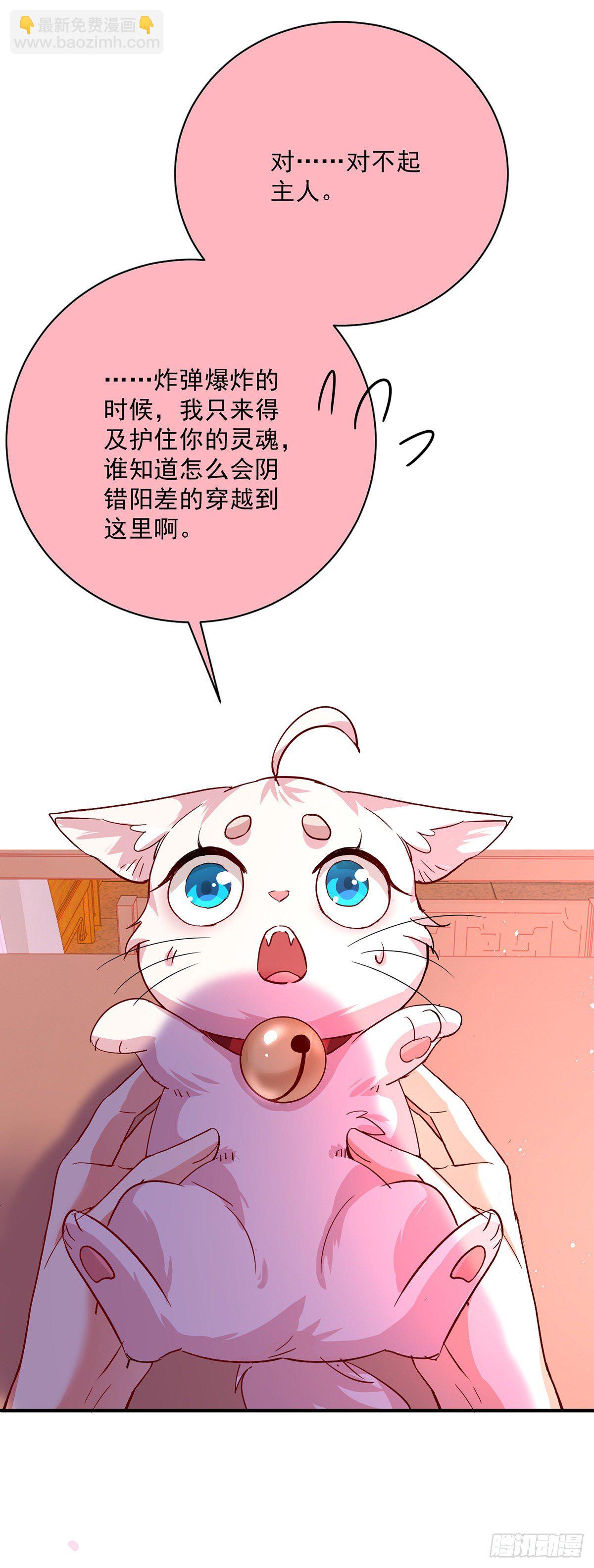 我在異界養男神：神醫九小姐 - 第14話 原主前生 - 1