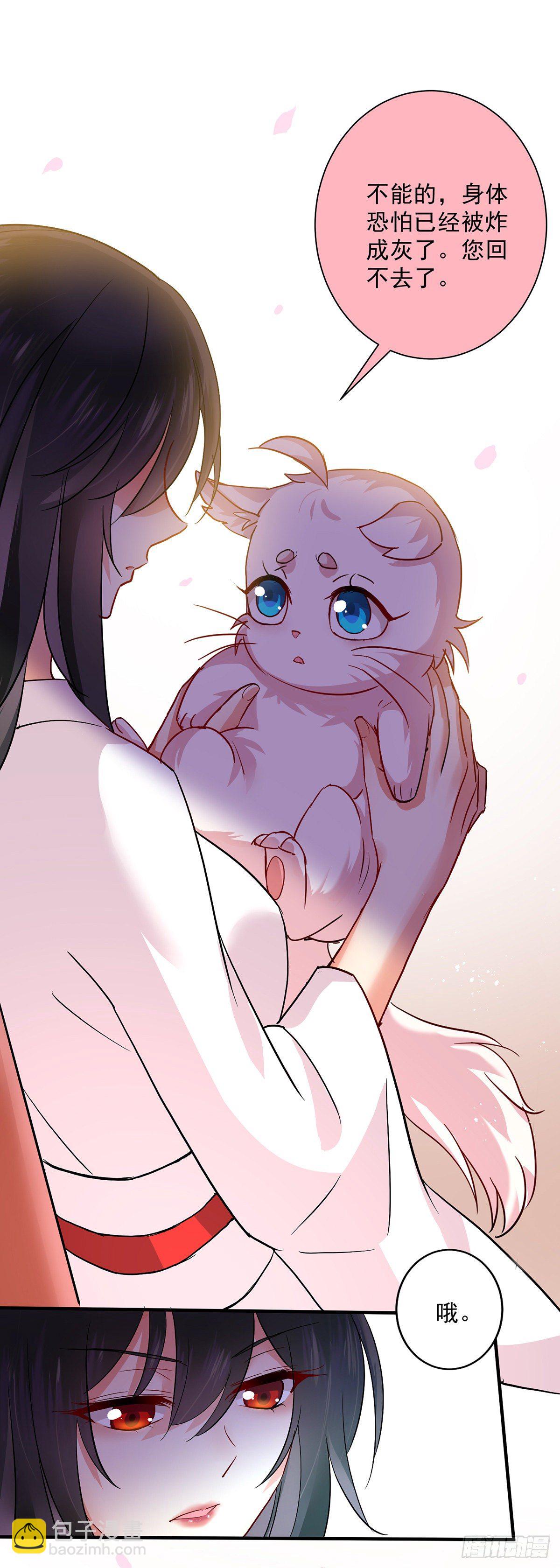 我在異界養男神：神醫九小姐 - 第14話 原主前生 - 4